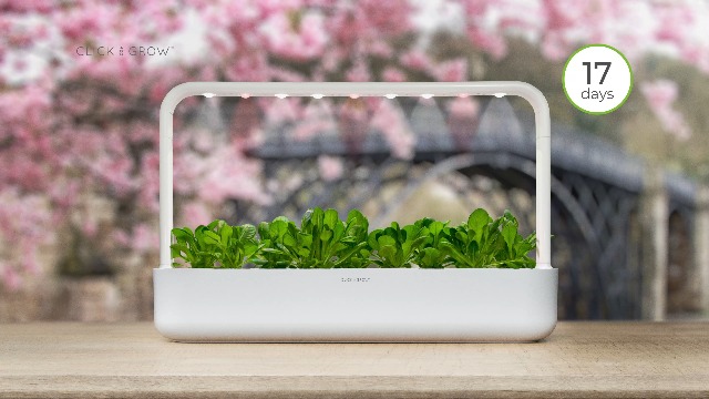 Click And Grow - 3 Pods De Laitue Romaine Pour Jardin Intelligent