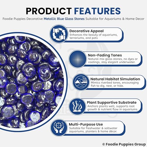 Image of Foodie Puppies Flat Glass Clear Stone (400gm, Metallic Blue) (2cm - 2.5cm) for Aquariums, Fireplace, Firepit Glass for Indoor and Outdoor, Vase Filler, Hydroponics Plants, Home Decor and DIY Craft