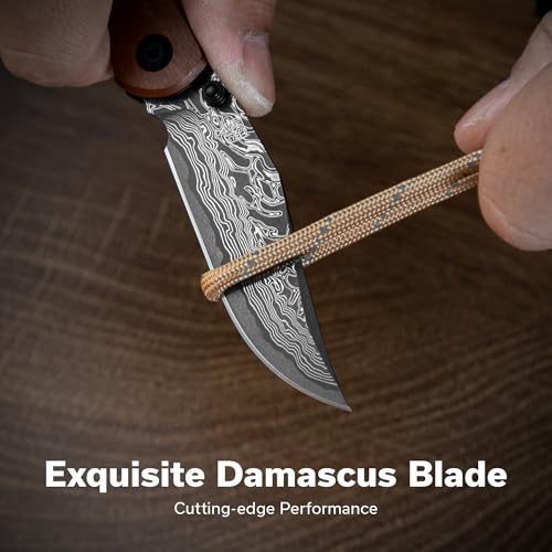 Image of CIVIVI Clingman EDC Pocket Folding Knife with Titanium Reversible Clip, 2.99 inch Damascus Blade Wood Handle Liner Lock Knife, Gift for Men Women C23065B-DS1