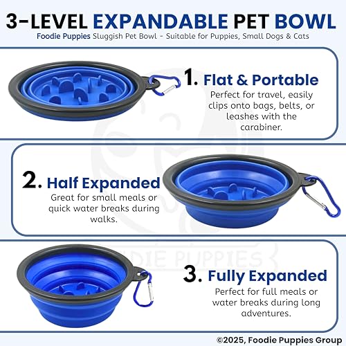 Image of Foodie Puppies Collapsible Slow Feeding Silicone Foldable Bowl for Small Dogs & Puppies - (Sluggish Bowl, 350ml) (Pack of 2), Pet Feeding Watering Dish for Walking, Traveling with Carabiners