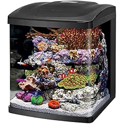 1 of Coralife LED Biocube Aquarium Starter Kit, 16 Gallon Tank for Beginners | Start a reef tank. Cube aquarium with LED hood. Fish tank with filter, pump, 24-hour timer