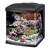 Coralife Biocube UV Sterilizer Lamp 5 Watts