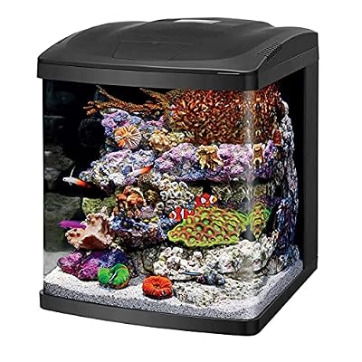 Coralife Biocube UV Sterilizer Lamp 5 Watts