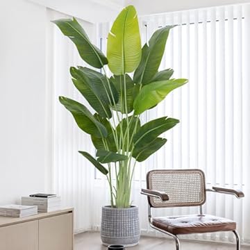 best artificial bird of paradise plant