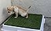GOLDEN MOON Artificial Dog Grass, Dog Grass Pee Pad for Indoor Outdoor Potty Training Replacement Mat