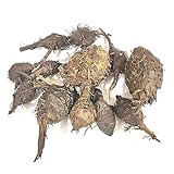 BETT Nagarmotha/नागरमोथा / Sedge Root/Cyperus rotundus (50 GMS)