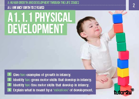 BTEC AAQ National Extended Certificate in Health & Social Care Unit 1 Human Lifespan & Development Revision Question Cards - Image 4