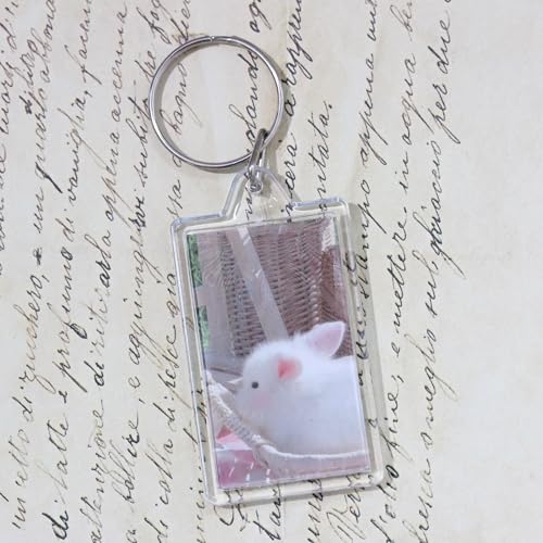 Image of BetterJonny 20Pcs Acrylic Picture Keychain Blanks in Clear Acrylic Picture Frame Keyrings