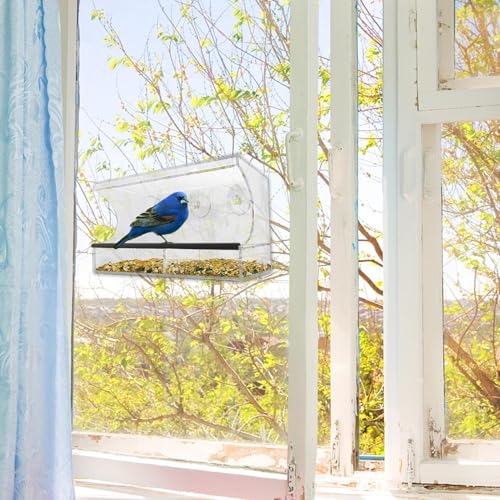 Mangeoire à oiseaux transparente pour vitre : observez sans les effrayer - 7