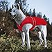 MIGOHI Reflective Waterproof Windproof Dog Coat Cold Weather Warm Dog Jacket Reversible Stormguard Winter Dog Vest for Small Medium Large Dogs(Red, M)