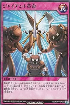【確認用】遊戯王・YUGIOH・ラッシュデュエル・ ノーマル・約2,900枚 Amazon.co.jp: 遊戯王 ラッシュデュエル RD/KP04-JP056