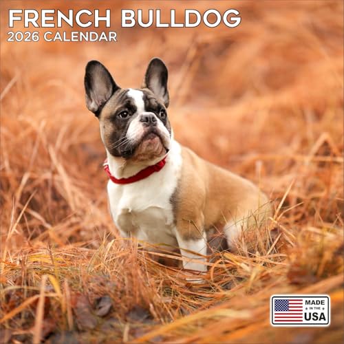2026 French Bulldog Calendar - Dog Breed Wall Calendar - 12 x 24 ...