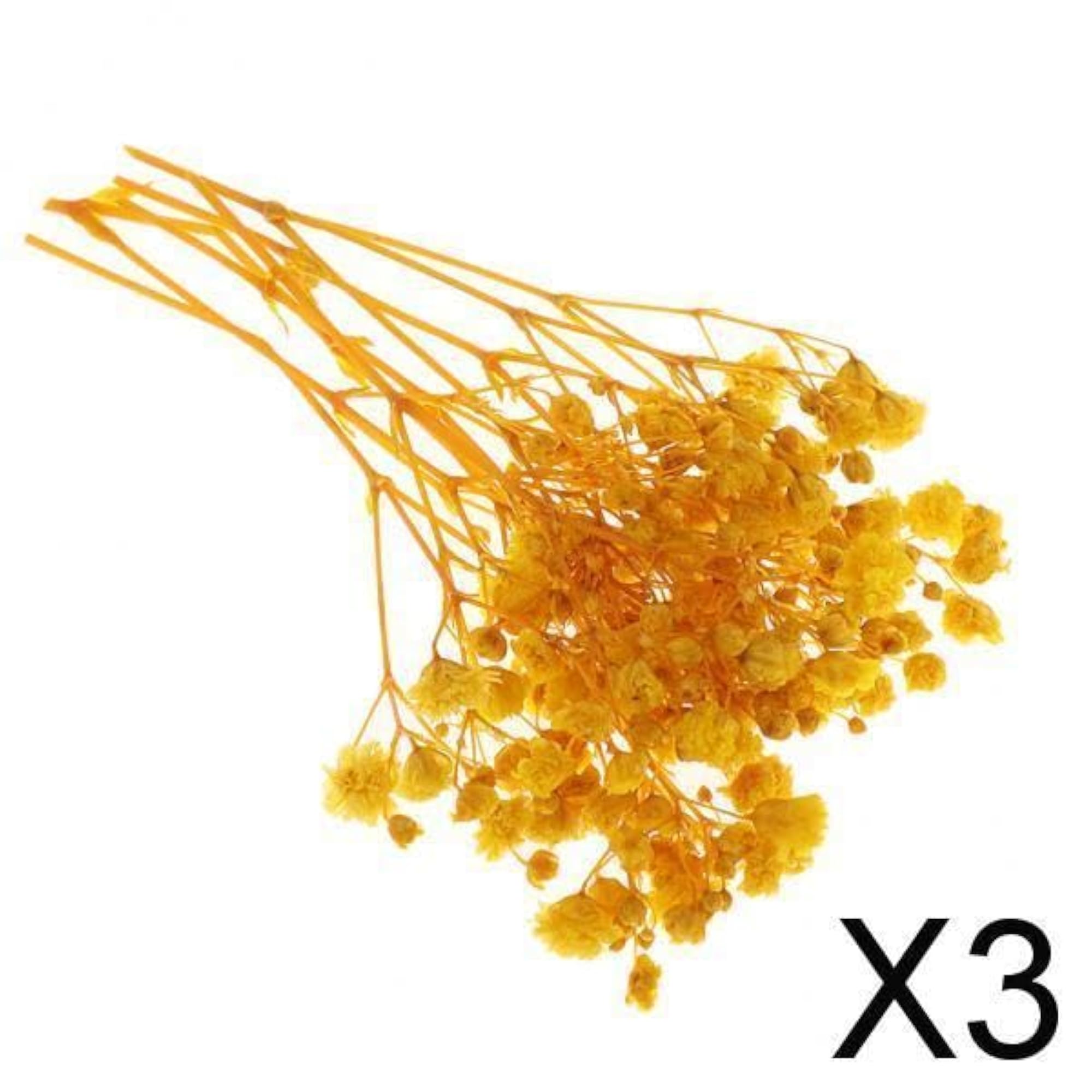 3xPressed Leaves Natural Dried Flowers for Scrapbooking