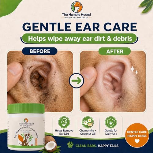Image of 3-in-1 Dog Dental Wipes - Finger Wipes for Teeth, Ears & Snout Infused with Coconut Oil | Promotes Fresh Breath, Tartar Control & Daily Hygiene | Gentle Grooming Wipes for All Dogs - 50 Count