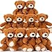 MaoGoLan Bulk Teddy Bear Baby Shower, 10 Packs Small Dark Brown Teddy Bear Stuffed Animals in Bulk,13.5
