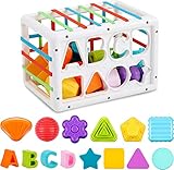 YAANI Baby Toy, 2 in 1 Shape Sorting Toy, Montessori Toy, Bath Toy, Sensory Shape Bin with Colorful Elastic Bands, Geometry Learning Matching Sorting Gifts Montessori Toys for Ages 18 Months and Up