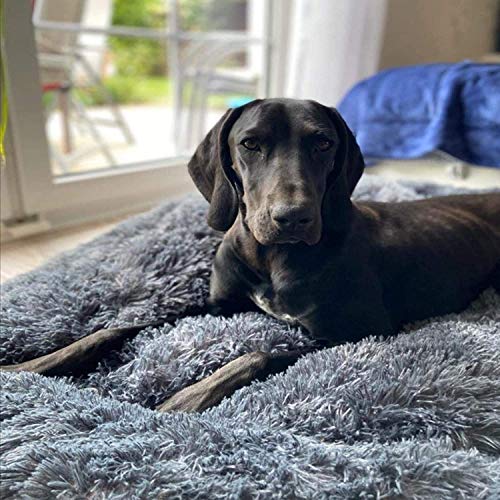 JHuanic Cuccia Cani,Cuccia Letto per Cani Rotondo