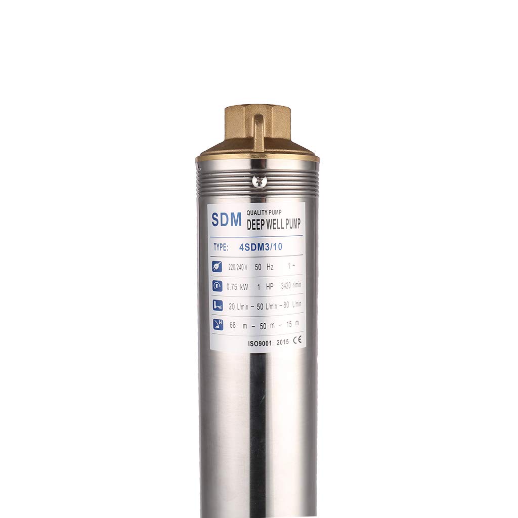 Pompa per Pozzi Profondi 220V 750W Acciaio Inossidabile Sommergibile Pompa Acqua 5600L/H Pompa Sommerse Pozzo Profondità Fino a 72m per Giardino Irrigazione e Uso Quotidiano