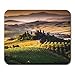 Produktbild AOHOT Mauspads Green Olive Tuscany Italy Landscape Tree Italian Scenery Tuscan Farm Mouse pad 9.5" x 7.9" for Notebooks,Desktop Computers Accessories Mini Office Supplies Mouse Mats