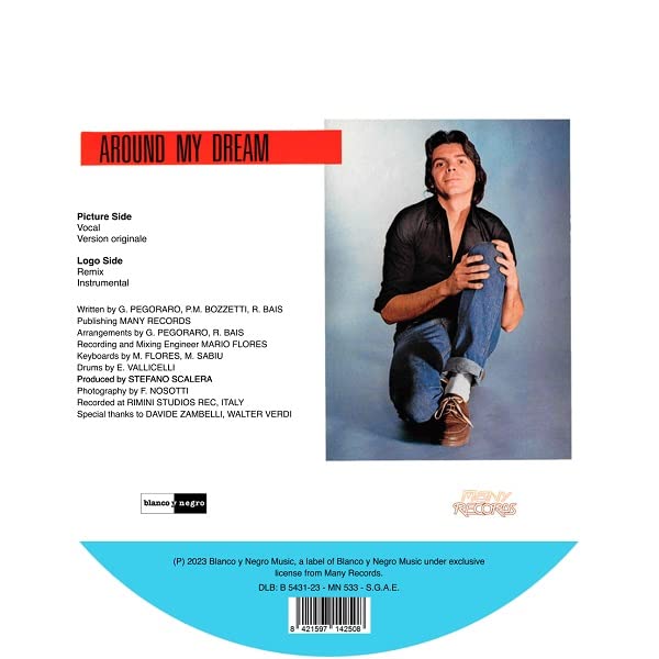 Around My Dream (Picture Disc)