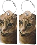 Bunte Katzenmarken aus PU-Leder für Koffer, mit Sichtschutz, mit Stahlschlaufen