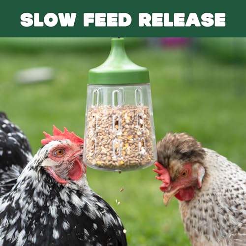 Image of Omlet Pendant Peck Toy | Interactive Slow-Feed Chicken Treat Dispenser | Boredom Busting Enrichment for Hens | Holds About 300g of Feed | Encourages Pecking & Foraging | Available in 2 Designs