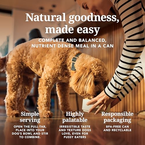 Image of K9 Natural - Canned High Protein Grain-Free Wet Dog Food Pate