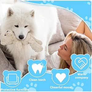   Squeaky-Dog-Toys-Cute-Teddy-Bear-Dog-Toy-for-Small-Medium-Large-Dogs-Stuffed-Puppy-Pet-Toys-for-All-Breeds-Plush-Dog-Toys-to-Keep-Them-Busy