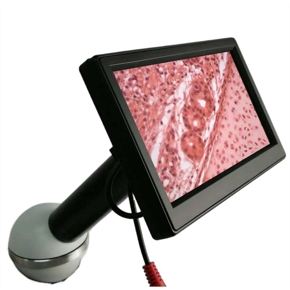 Microscopio de 5 Pulgadas con Pantalla LCD y 2 megapíxeles para microscopios estereoscópicos biológicos y cámaras.