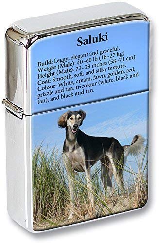 Saluki ( royal chien d’Égypte) briquet à capuchon amovible Boîte de cadeau