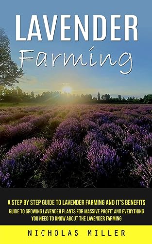 Lavender Farming: A Step by Step Guide to Lavender Farming