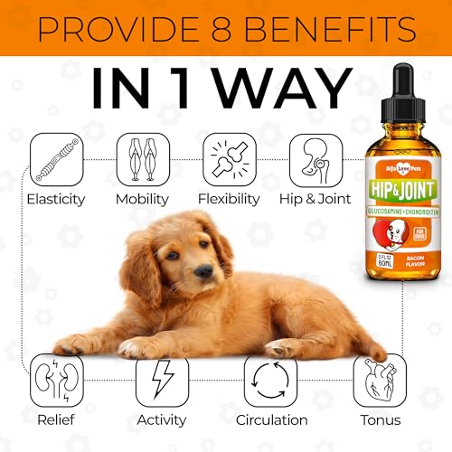 Dog Joint Supplement – Glucosamine Chondroitin for Dogs and Puppies – MSM in The Composition – Care for Joints, Muscles, & Ligaments – Bacon Flavor – 2 Oz