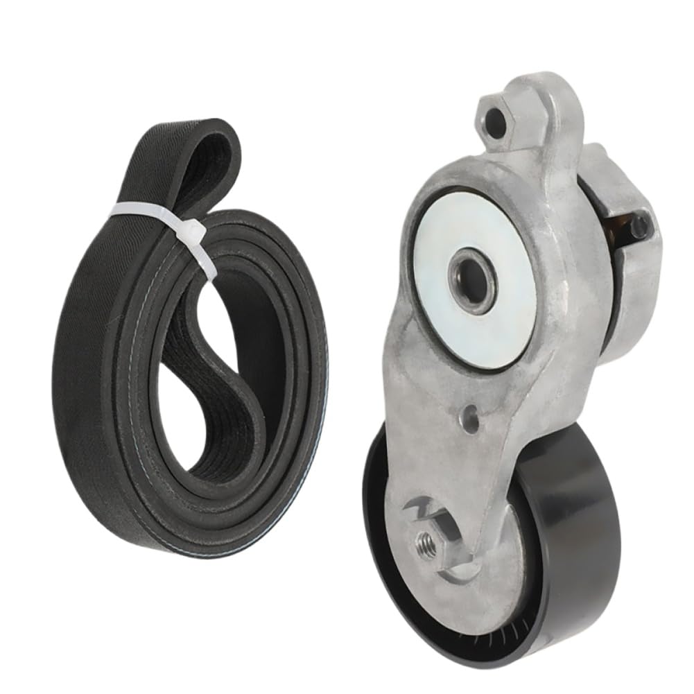 Kit Assemblea Tendicinghia Compatibile Con Well Drive 1662036010