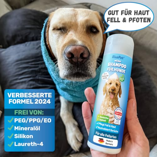 BluePet Hundeshampoo mild für empfindliche Haut mit Aloe Vera & Jojobaöl