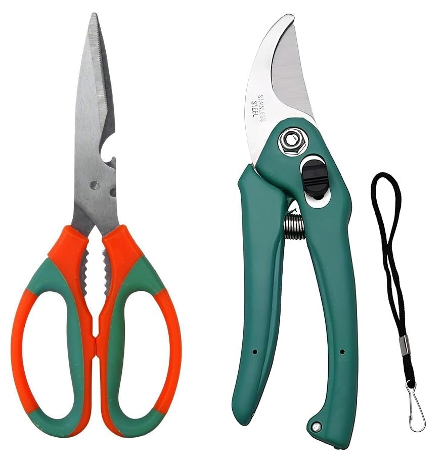 AARAV Gardening Pruner & Scissor | Set of 2 | Garden Plant Cutter | Garden Pruner | Garden Scissors | Garden Cutter | Flower Cutter | Branch Cutter | For Gardening | Sturdy Stem Scissors (B0CG6SR4LG) Amazon Price History, Amazon Price Tracker