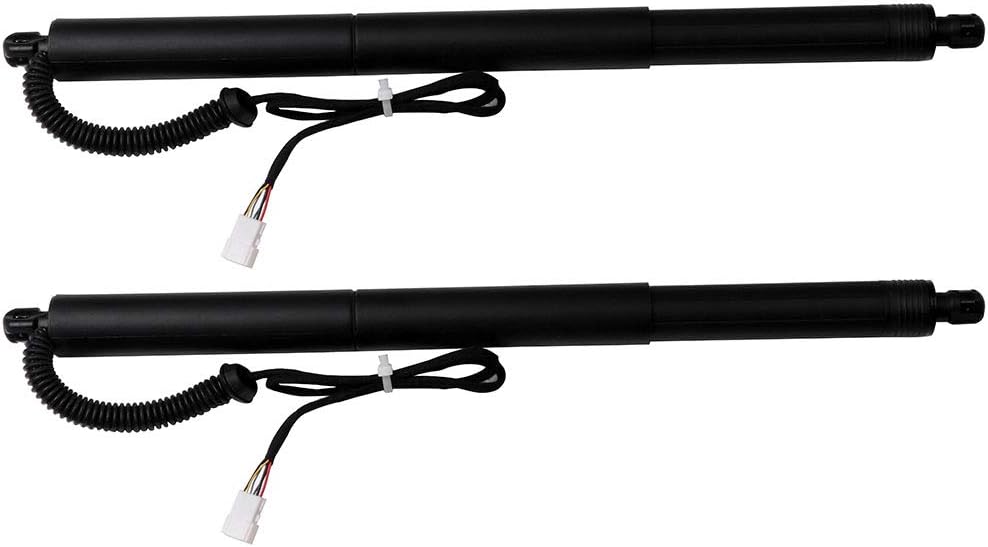 2Pcs Tailgate Lift Supports Rear Left and Right Gas Spring Struts 51247232003(RL) 51247232004(RR) Compatible for 2010-2017 for X3