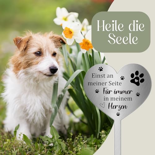 Photect Grabschmuck Wetterfest für Hund Katze Tiere Grabstecker Metall Herz mit Spruch Einst an Meiner Seite,für Immer in Meinem Herzen Grab Deko Grabstein Hund Haustier Gedenktafel Katze