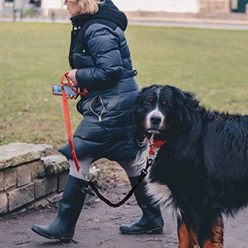 Image of NOYAL 2 Pack 1.7 FT Bungee Dog Leash Heavy Duty Shock Absorbing Extension Leash Improved Dog Safety Suitable for Walking, Running, Bicycling