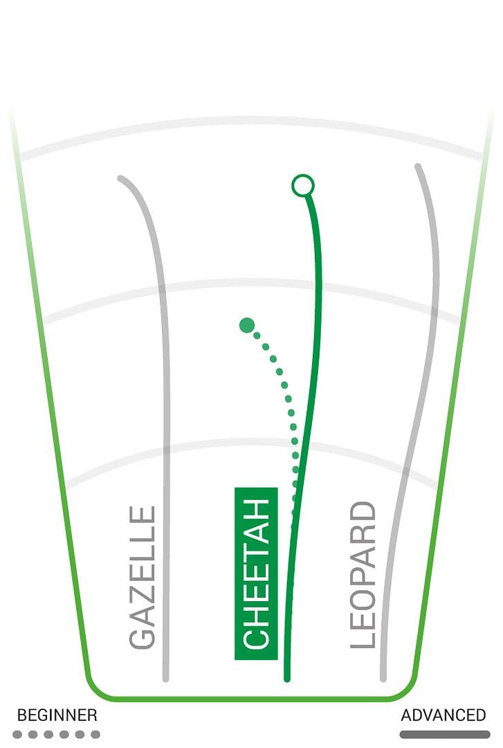 Innova Disc Golf DX 3 Disc Set | Driver, Midrange, Putter | Cheetah, Jay, Dart + G3T Blank top Mini, Mystery Color