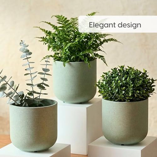 Image of Eha Earth-Friendly Terrapod Planters for Home Decor | 3.5 Inch, Pack of 4 | Small Plant Pot Made with Rice Husk Biocomposite | Flower Pot for Living Room | Celeste