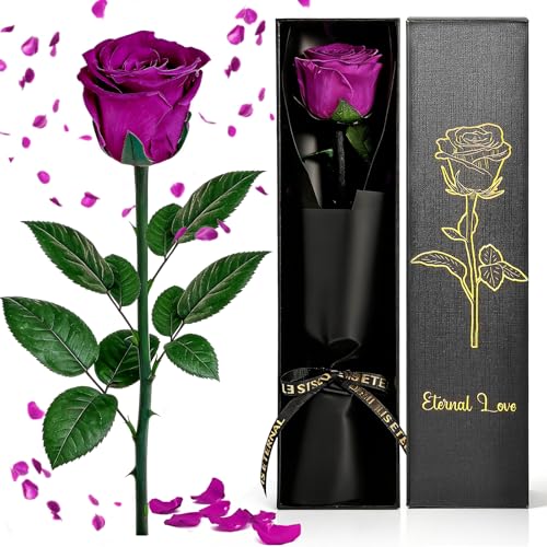 Rosa Eterna San Valentin Regalos, Rosas Eternas Con Tallo, Rosas Flores Preservadas Natural Preservada, Flor Eterna Regalo Para San Valentín, Dia De La Madre, Mama, Novia Cumpleaños Mujer