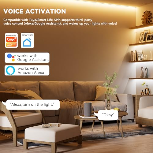 PAUTIX WiFi 5 en 1 controlador regulable para tira de LED monocromática CCT RGB RGBW RGBCCT compatible con la aplicación Tuya/Smart Life/Alexa/Google Home Control de luz DC12-24V (sin batería) - imagen 4