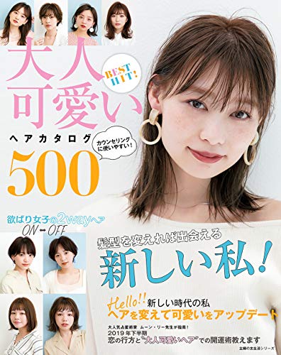 ＢＥＳＴ　ＨＩＴ！　大人可愛いヘアカタログ５００ 主婦の友生活シリーズ