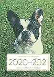  A5 Planner - 2020-2021 Planner Calendar - French Bulldog 15 Months Daily Weekly Monthly Diary With Dot Grid Notebook & Habits Tracker: Academic Goals ... Quotes; From Jan 2020 - Mar 2021
