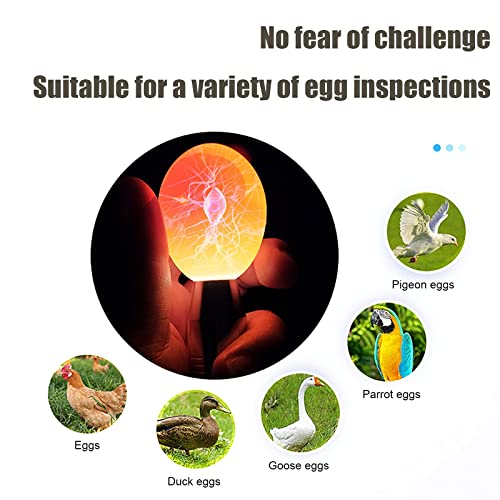 Zzbuy Egg Candler, Egg Incubator Light【2023 Upgraded Charger】,Egg Candler Candling Checker Light For Chicken Quail Dark Canary Pigeon All Eggs Battery Powered(Include Egg Candling Guide) #TOP3