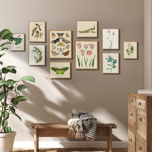 crmotu Bird Framed Wall Art, Hummingbird Daffodil Vintage Canvas Prints, Animal Botanical Nature Wall Decor, Floral Retro Rustic Kitchen Decorations Wall Pictures for Bedroom Desktop, 9x11inch