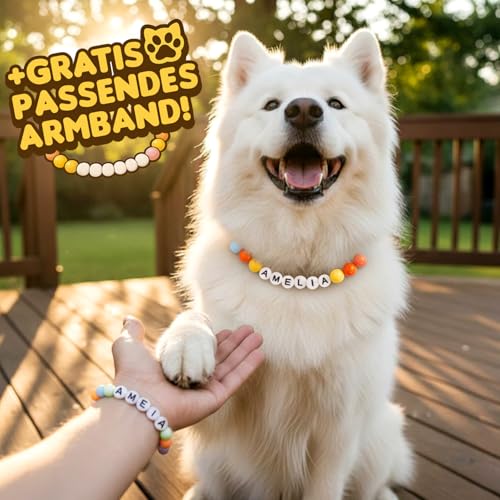 Hundehalsband Personalisiert mit Namen/Buchstabe - Niedliche Bunte Perlen Halskette Halsband Hund Katze mit GRATIS Passendem Armband - Personalisierte Hunde Geschenke für Frauen Männer Hundeliebhaber
