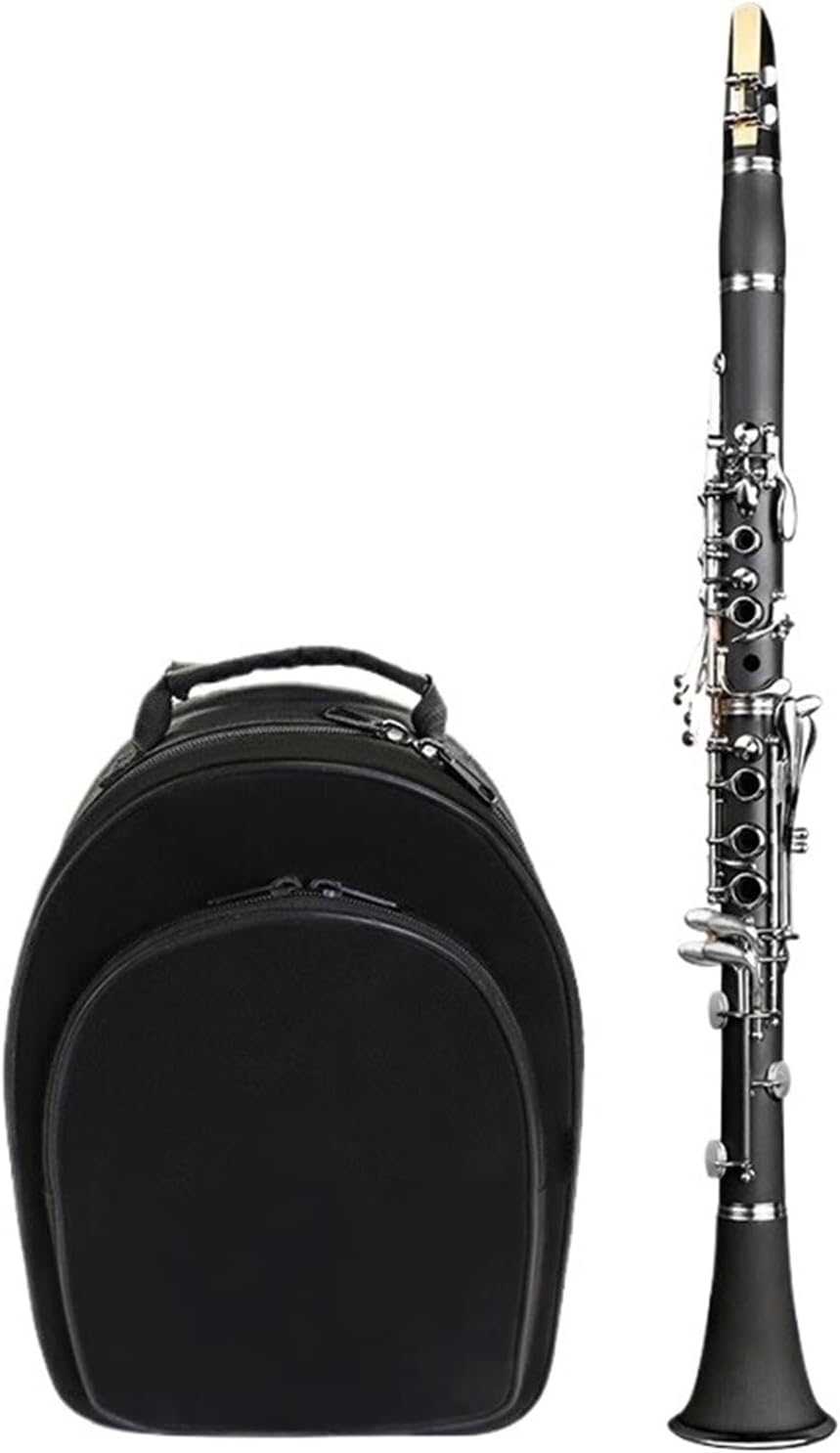Clarinet Instrument Adult Beginner Grade Test Playing B Flat