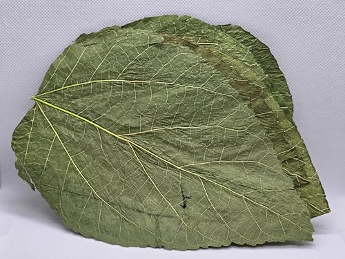 Feuilles de crevettes enrichies en minéraux pour une mue parfaite