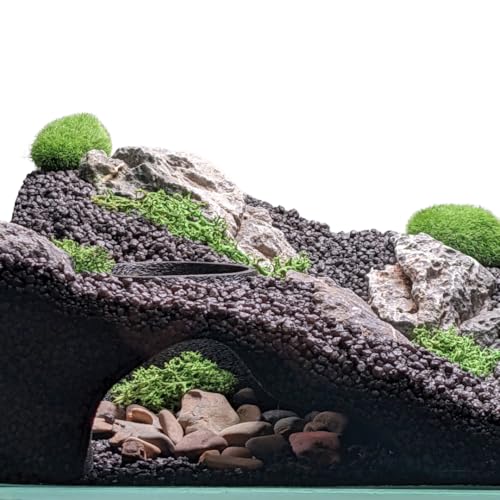 Aquarium & Terrarium Natural Viewing Cave | Fish & Reptiles | Gecko Corydora Pleco Kuhli Loach Hide (Black)